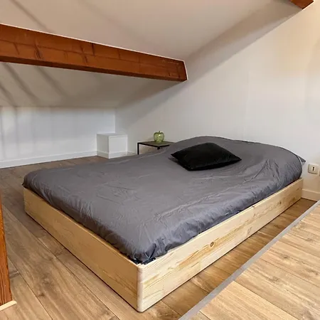 Duplex Refait A Neuf - Pibrac, Proche Colomiers *